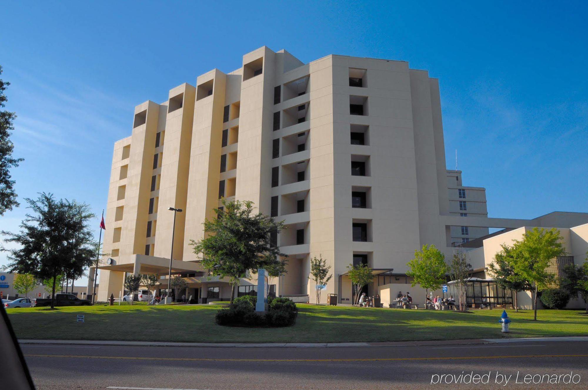 Hotel Doubletree By Hilton Jackson